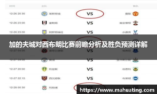 中欧体育