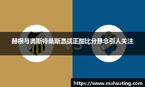 中欧体育